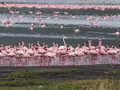 IMG_2455