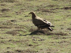 IMG_2496