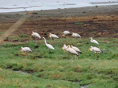 IMG_2620