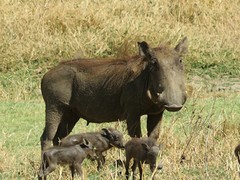 IMG_2634