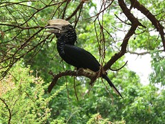 IMG_2515