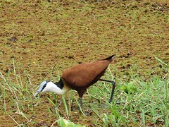 IMG_2535
