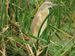 IMG_2539