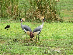 IMG_2545