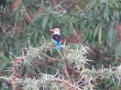 IMG_2571