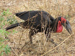 IMG_2606