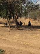 IMG_0435