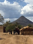 IMG_0437