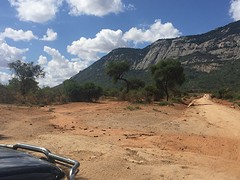 IMG_0505