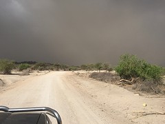IMG_0526