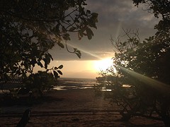 IMG_0631