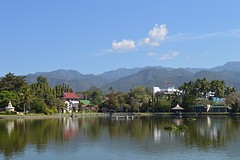 DSC_4254