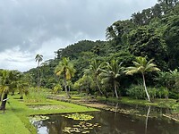 Botanische tuin 2