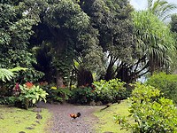 botanische tuin