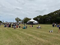 Waitangi feest