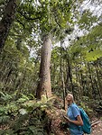 Geertje bij Kauri boom