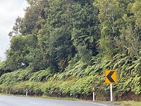 Langs de weg 2
