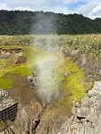 Blow hole