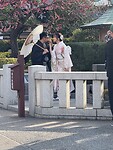 Kimono 3