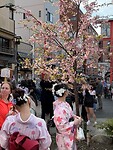 Kimono en bloesem