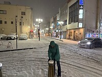 Echte sneeuw
