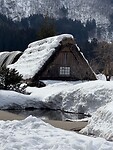 Grassho huis 2