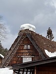 Grassho huis