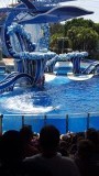 20150713_113704