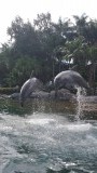 20150713_104006