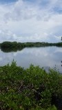20150715_140503