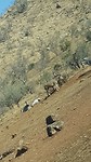 20190718_094528_001