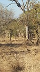 20190718_084532