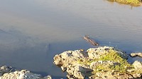 20190718_081053