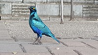 20190719_131435