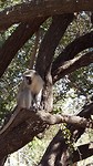20190719_102016