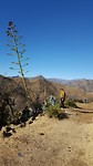 20190724_150352