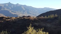 20190723_084841