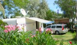 mooie plek met Oleanders op flowercamping le Neptune