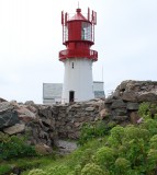 nog 1x