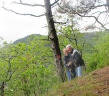 op de berg naast de camping Sandnes