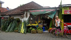 veel groen in het oude stadsdeel