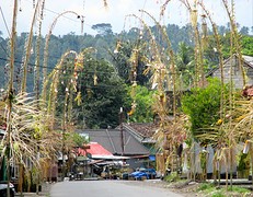 IMG_0057