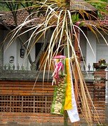 IMG_0060