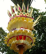 IMG_0069