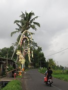 IMG_0095