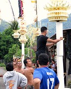 IMG_0114