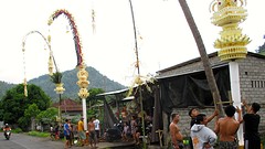 IMG_0115