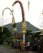 IMG_0117