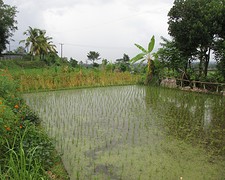 IMG_0119
