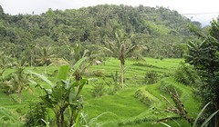 IMG_0159